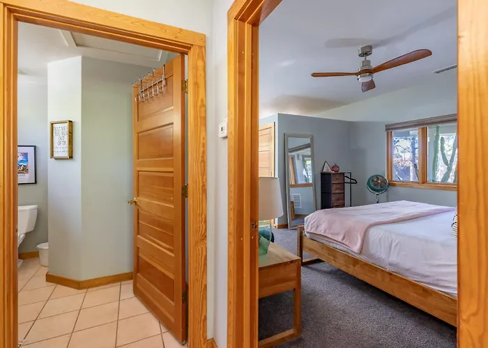 Birders, Botanist&hikers’ Oasis In Flg * Flagstaff