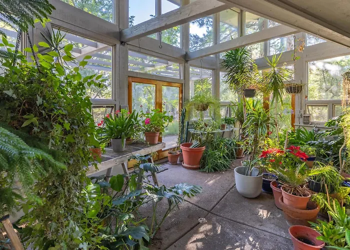 Birders, Botanist&hikers’ Oasis In Flg * Flagstaff